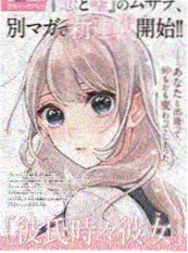 双男主奇幻动漫双城回声海报